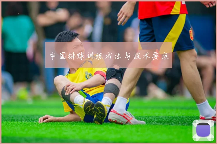 中国排球训练方法与技术要点