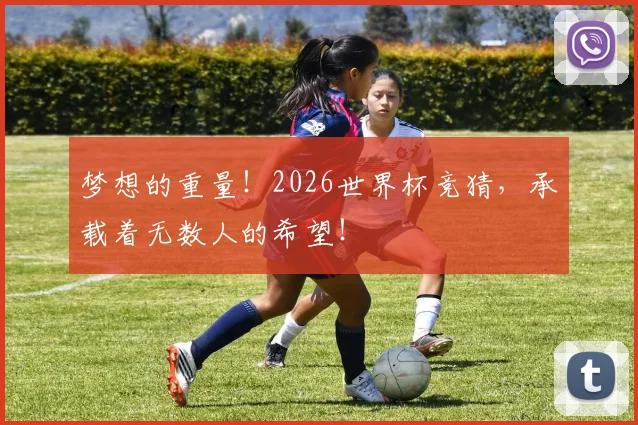 梦想的重量!2026世界杯竞猜,承载着无数人的希望!